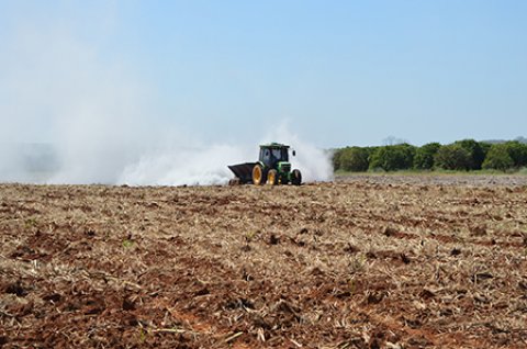 Recorde no consumo: solo corrigido ajuda na produtividade de etanol