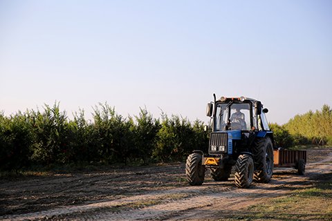 Alta dos insumos perde força, mas ainda pressiona custos do agricultor paulista