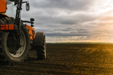 Uso de fertilizantes é retomado, e reforça importância de o calcário vir antes