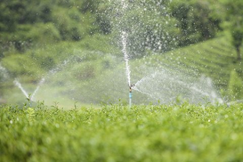 Da irrigação às chuvas, os cuidados com a água na agricultura